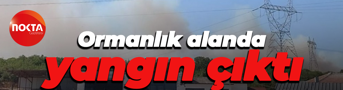 Ormanlık alanda yangın çıktı