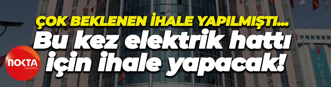 İzmit Belediyesi hayvan bakımevi için durmuyor! Bu kez elektrik hattı için ihale düzenleyecek