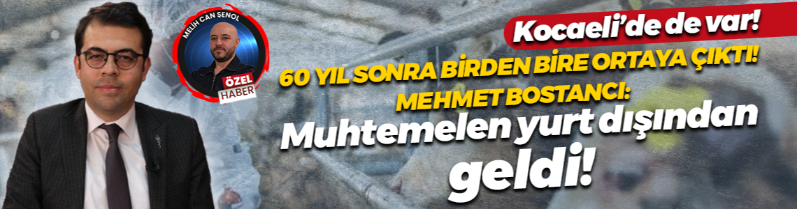 Rüzgarla kilometrelerce taşınabiliyor! Mehmet Bostancı: Bu Şap türü muhtemelen yurt dışından geldi