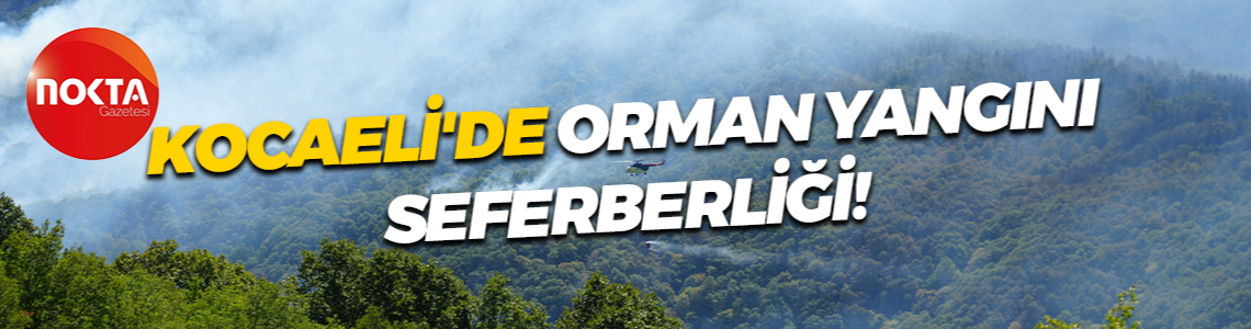 Kocaeli'de orman yangını seferberliği!