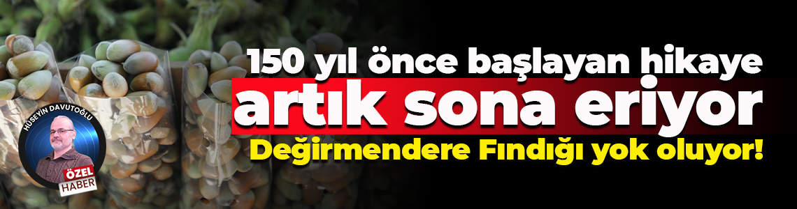 150 yıl önce başlayan hikaye artık sona eriyor; Değirmendere Fındığı yok oluyor!