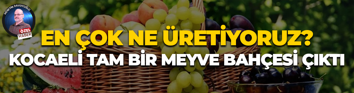 En çok ne üretiyoruz? Kocaeli tam bir meyve bahçesi çıktı