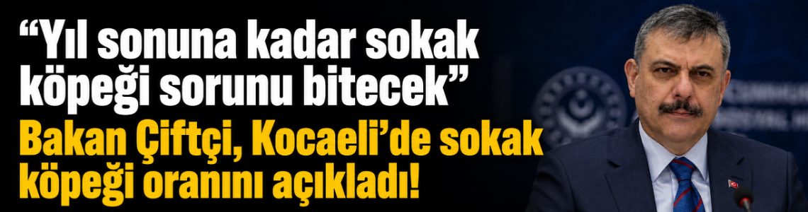 "Yıl sonuna kadar sokak köpeği sorunu bitecek" Bakan Çiftçi, Kocaeli’de sokak köpeği oranını açıkladı!