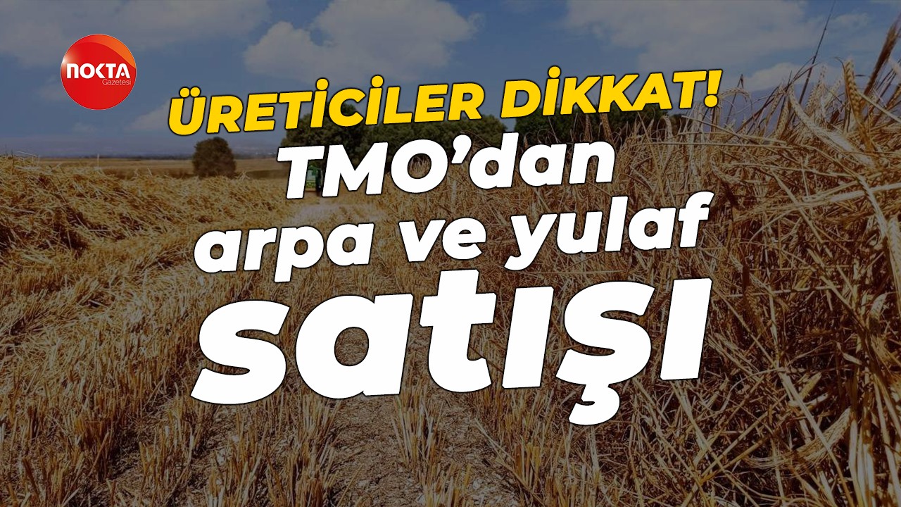 TMO açıkladı: Vade farksız arpa ve yulaf satacak! İşte fiyatlar…