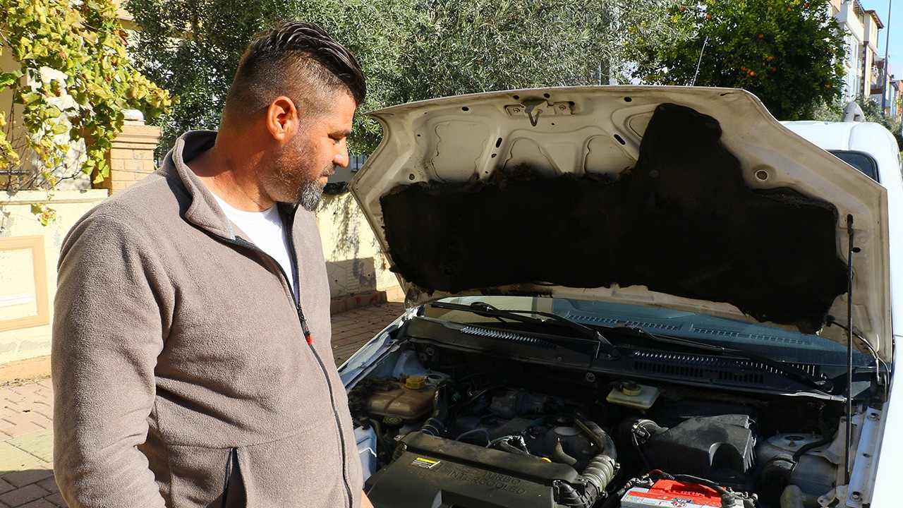 Aracın motoruna fare kaçtı! Sürücü konuşarak çıkarmaya çalıştı