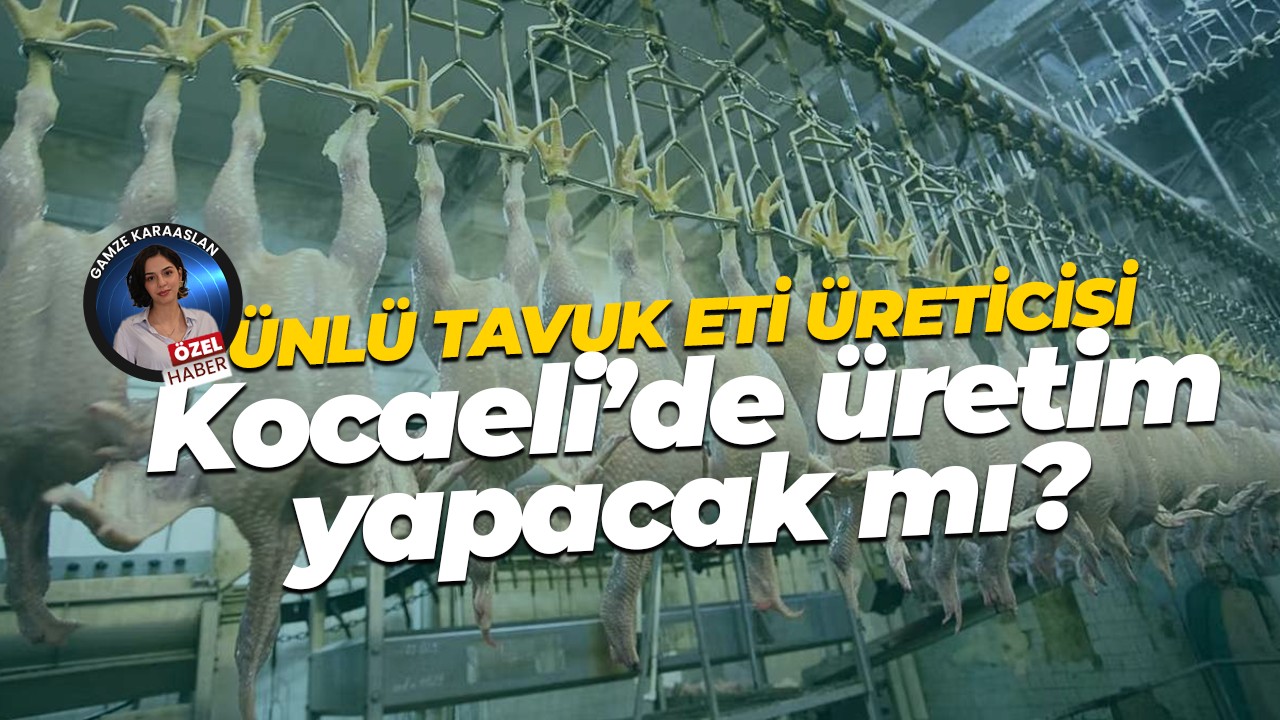 Ünlü tavuk üreticisi Erpiliç Kocaeli’de üretim yapacak mı?