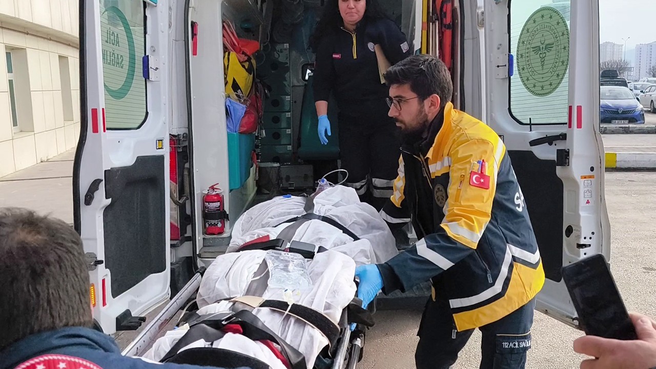 Sivas'ta ayı saldırısı! Ölümüne sebep olan ayı telef edildi