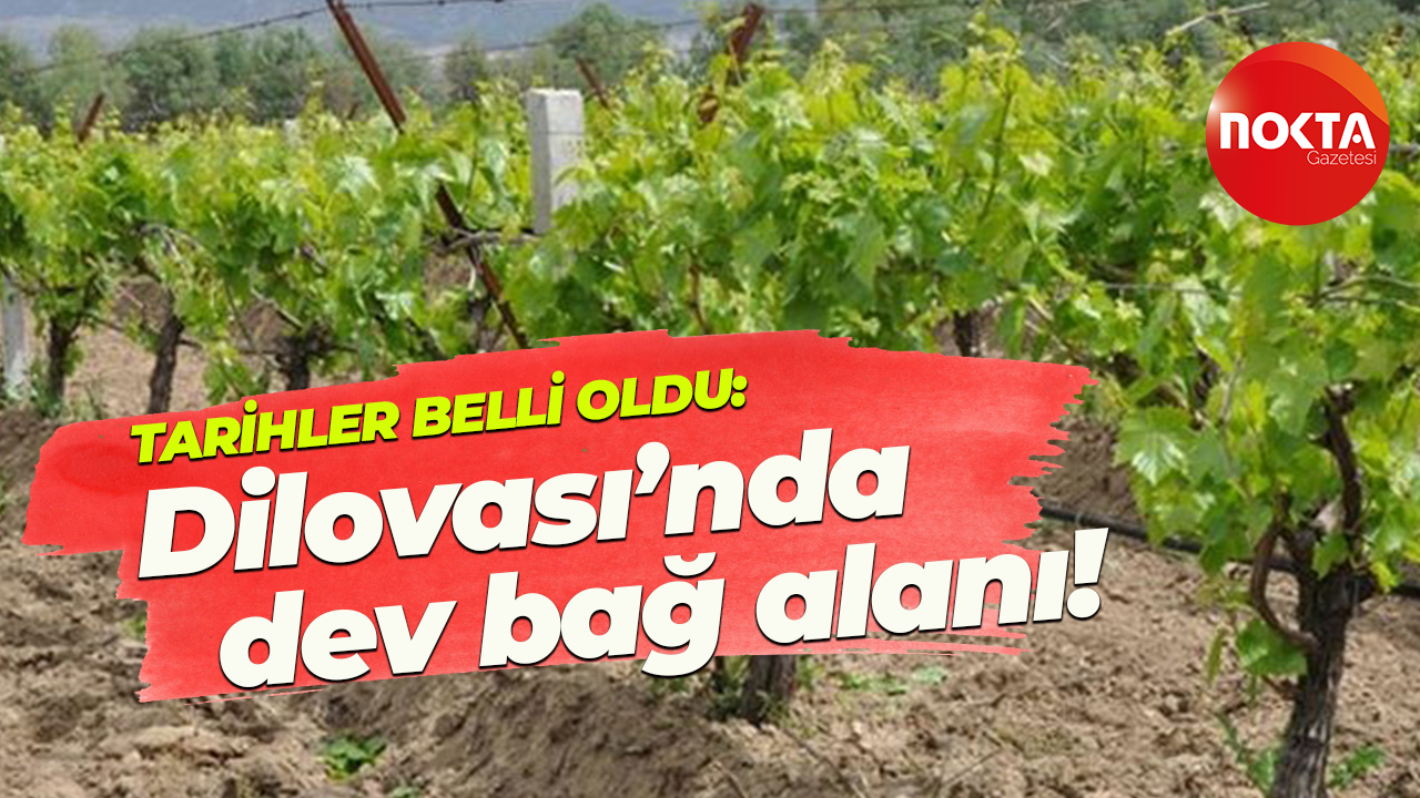 Tarihler belli oldu: Dilovası'nda dev bağ alanı