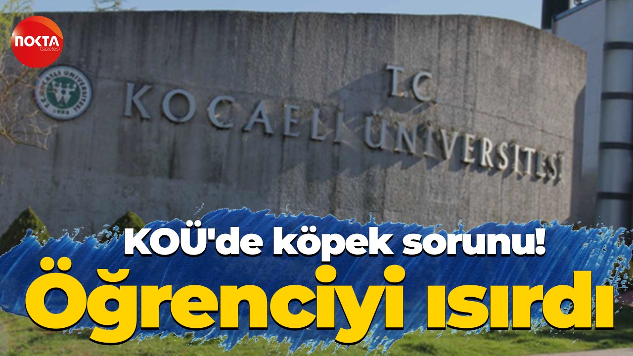 KOÜ'de köpek sorunu! Öğrenciyi ısırdı