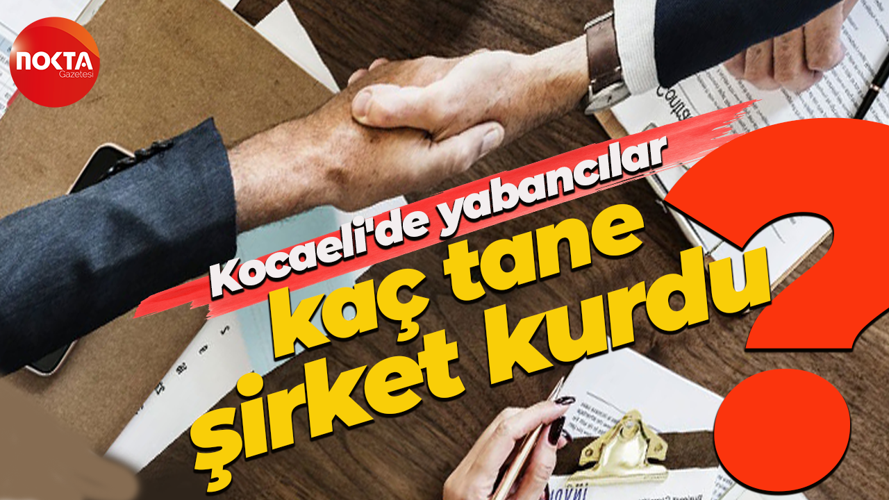 Kocaeli'de yabancılar kaç tane şirket kurdu?