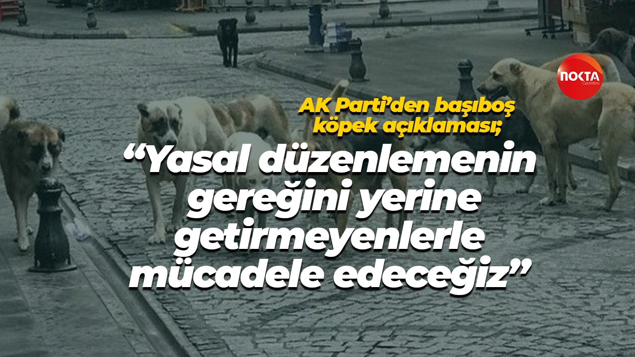 AK Parti’den başıboş köpek açıklaması; “Yasal düzenlemeyi yerine getirmeyenlerle mücadele edeceğiz"