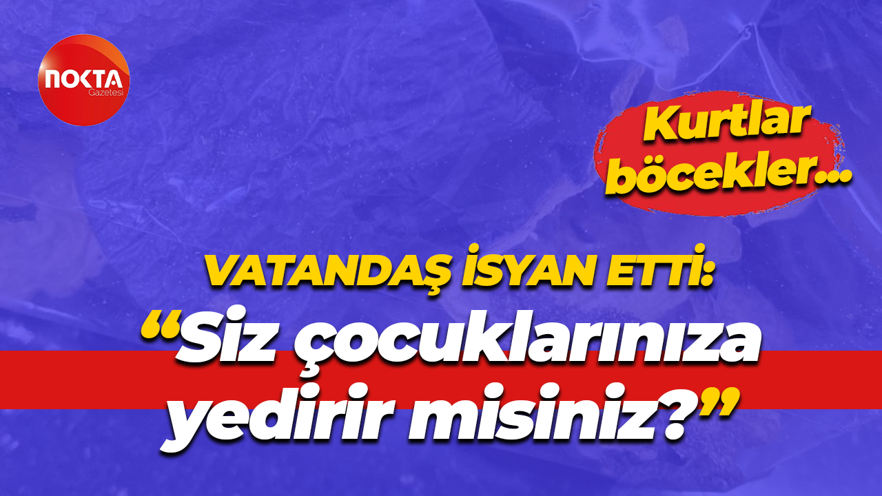 Kocaeli'de bir vatandaş, zincir marketten aldığı ürünün içinden çıkanları görünce isyan etti!