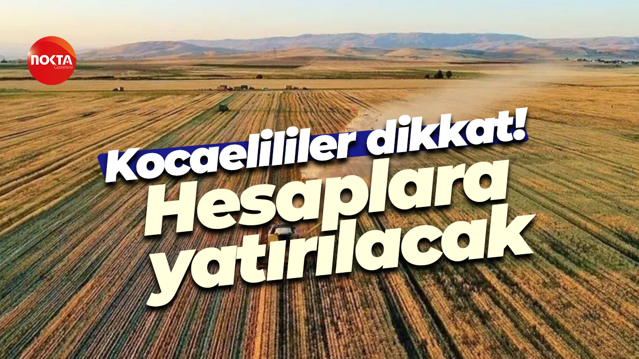 Kocaelililer dikkat! Çiftçilerin hesaplara yatırılacak
