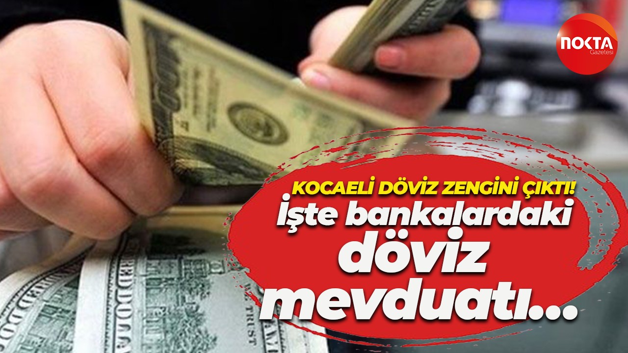 İşte bankalardaki döviz mevduatı… Kocaeli döviz zengini çıktı!