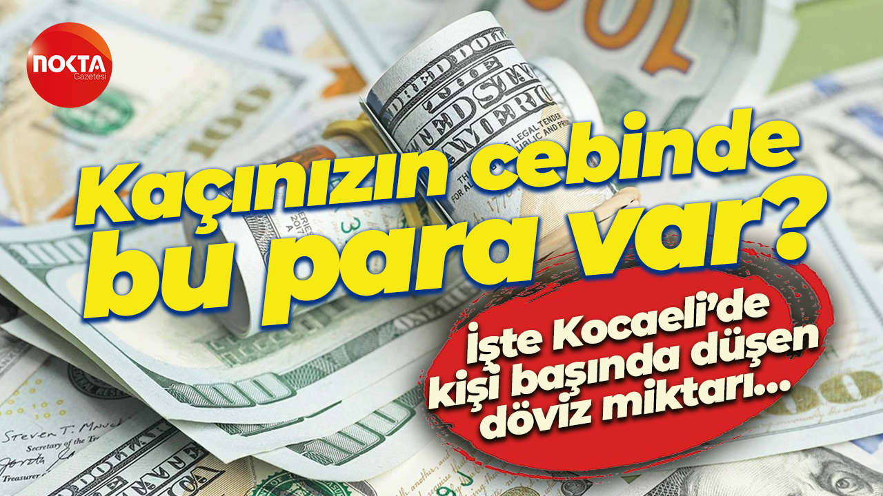 İşte Kocaeli’de kişi başında düşen döviz miktarı… Kaçınızın cebinde bu para var?