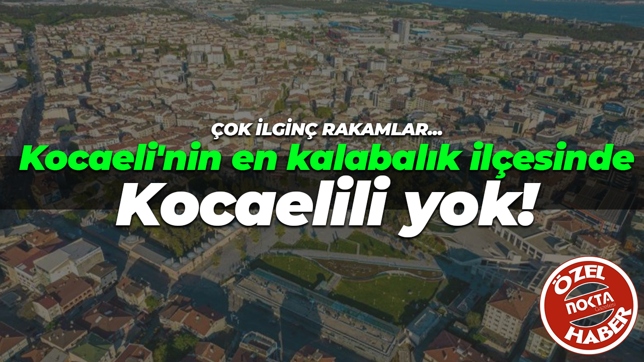 Kocaeli'nin en kalabalık ilçesinde Kocaelili yok!