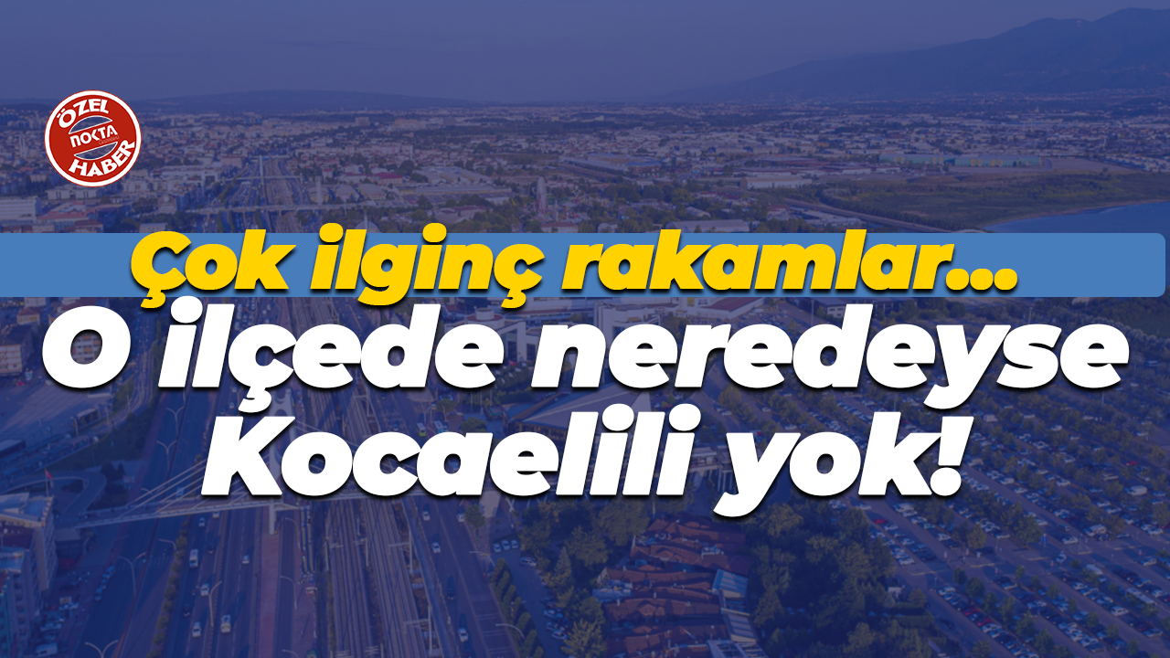 Çok ilginç rakamlar… O ilçede neredeyse Kocaelili yok!