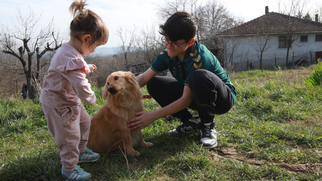 Patilik Mutlu Sokak Hayvanları Kasabası'nın sakini Alex yeni yuvasında