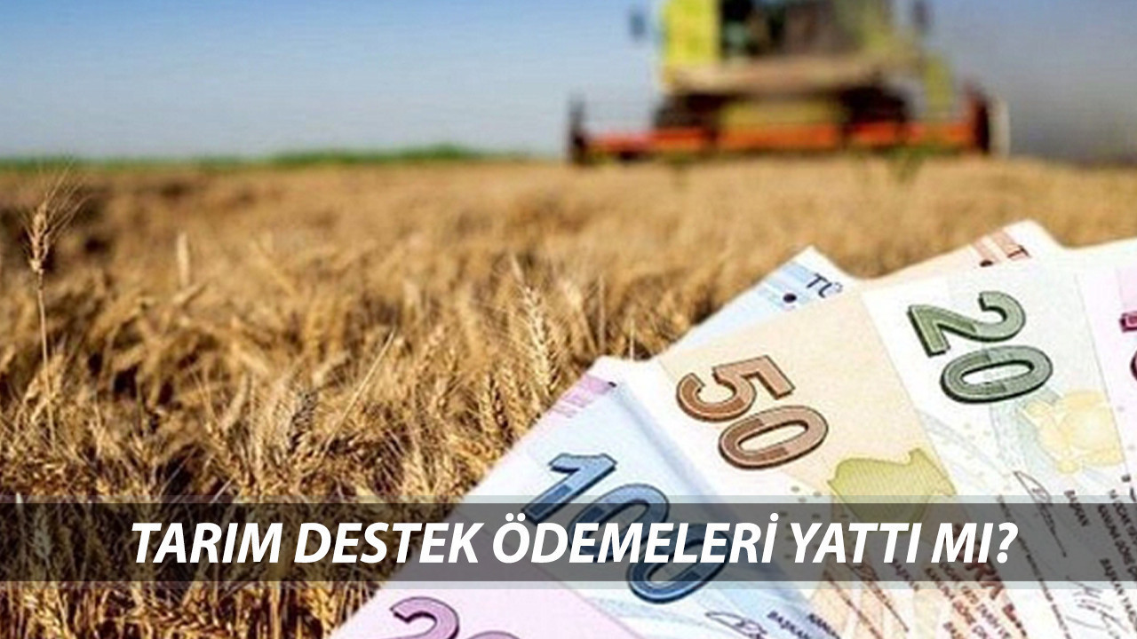 TARIM DESTEK ÖDEMELERİ 2025 ÖDEME TAKVİMİ | Tarım Destek Ödemeleri Yattı Mı?