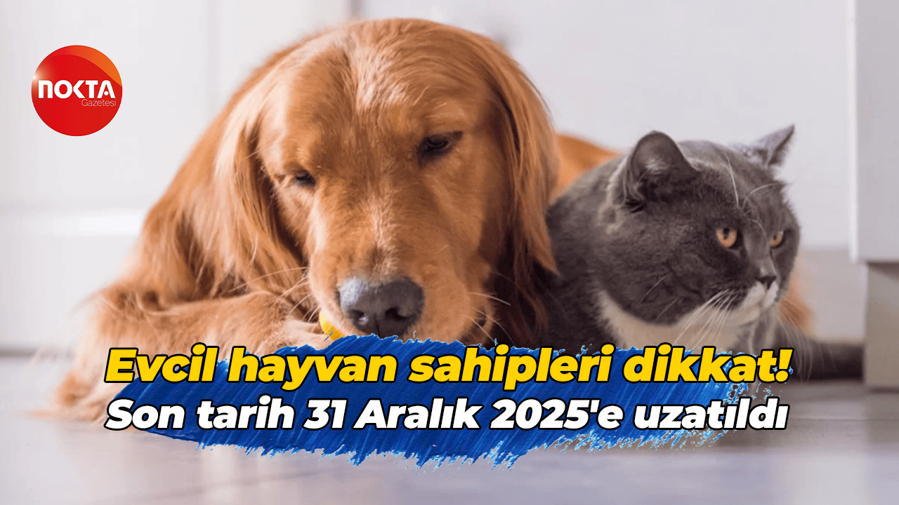 Evcil hayvan sahipleri dikkat! Son tarih 31 Aralık 2025'e uzatıldı