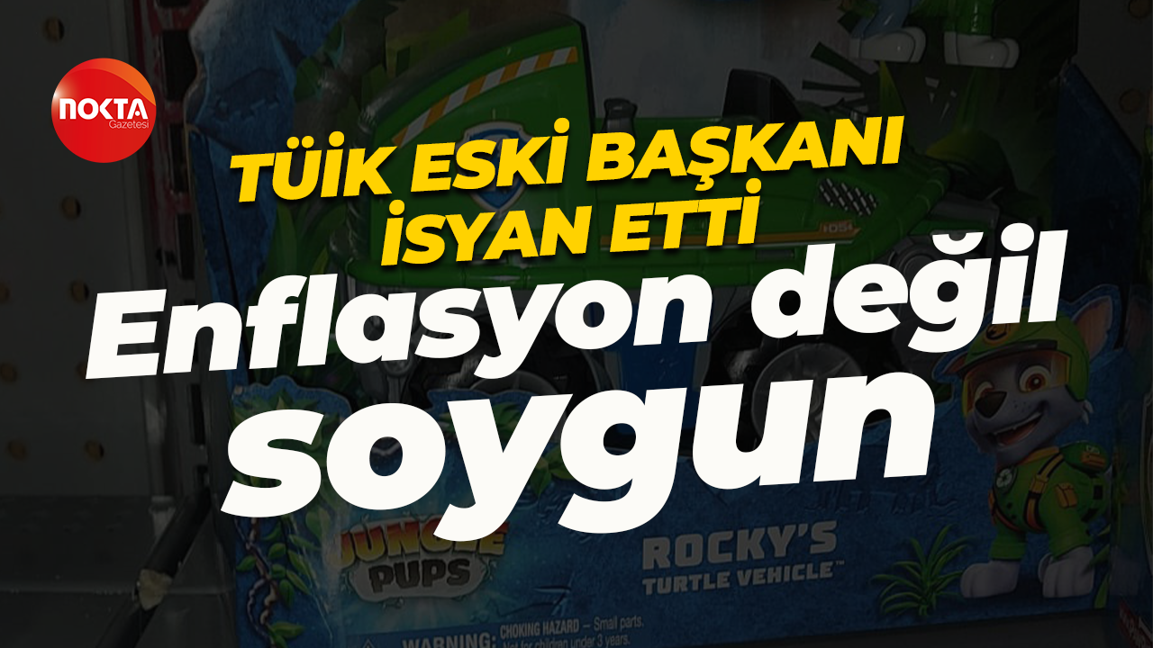 TÜİK'in eski Başkanı Birol Aydemir'den isyan: Enflasyon değil soygun!