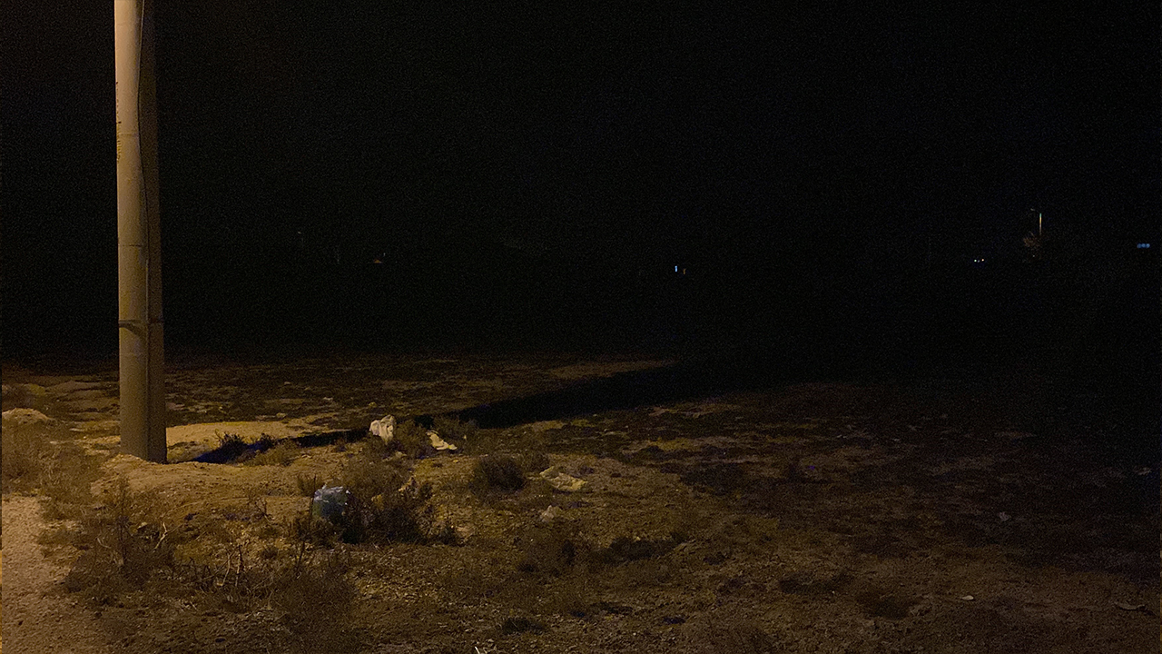 Konya'da acı olay: Onlarca köpeğin saldırısına uğradı!