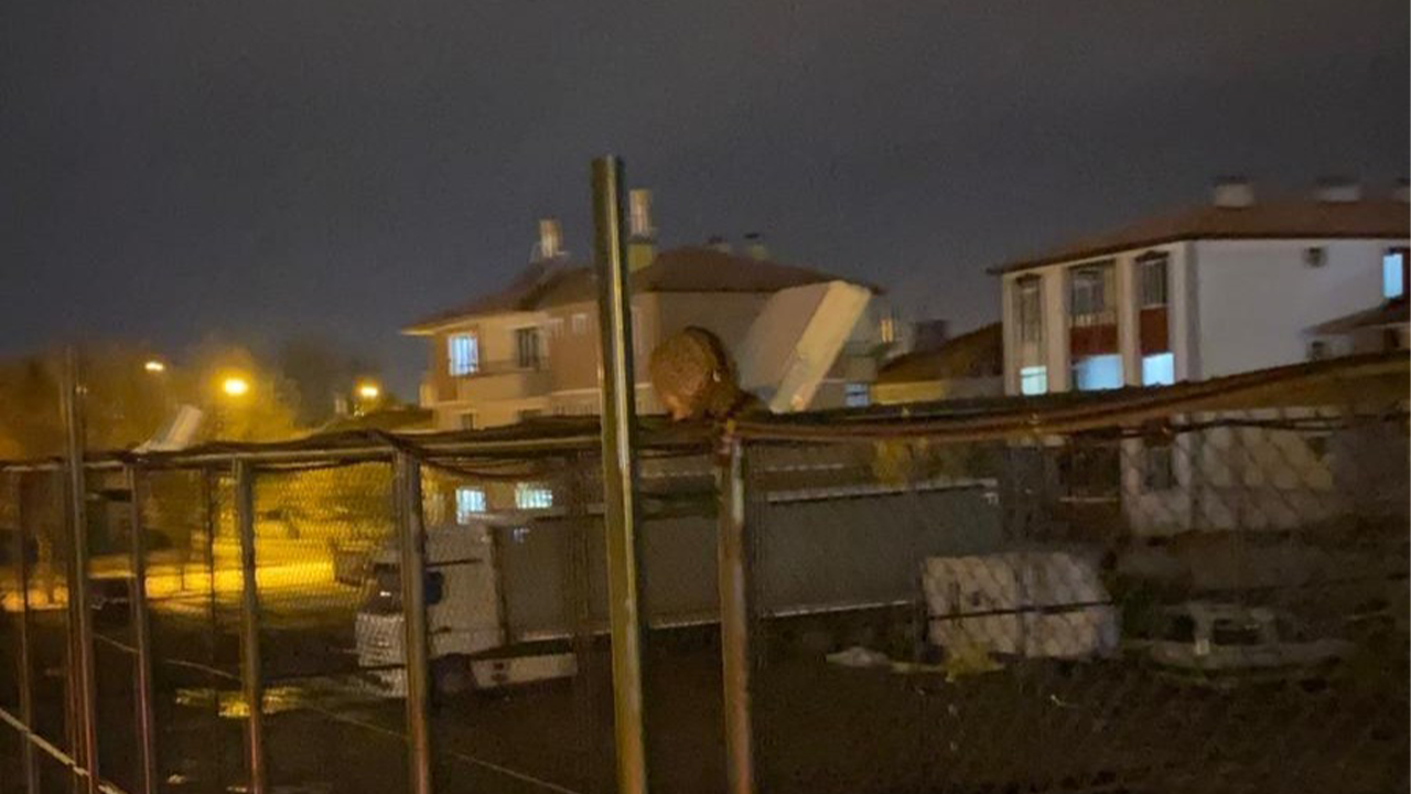 İtfaiyeden kedi kurtarma operasyonu