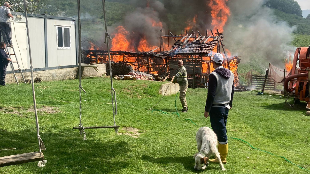 Yangından geriye yalnızca küller kaldı!