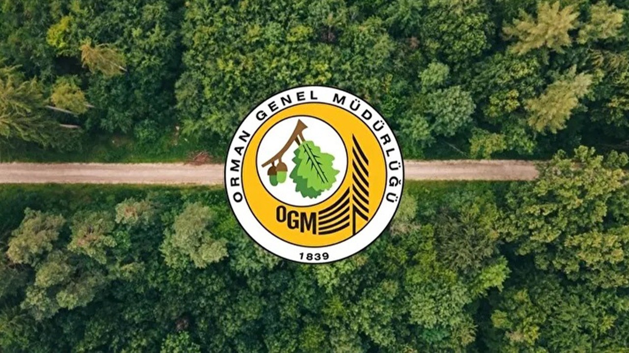 Orman Genel Müdürlüğü Kura Çekimi Sonuçları Açıklandı Mı? İŞKUR Orman İşçi Alımı 2025 Kura Sonuçları