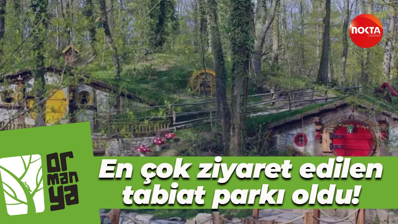 Ormanya en çok ziyaret edilen tabiat parkı oldu!