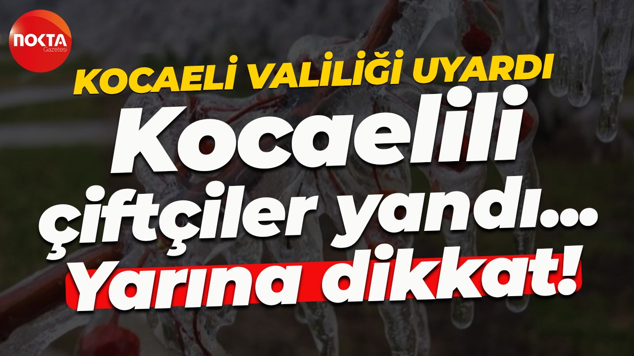 Kocaelili çiftçiler yandı... Yarına dikkat!