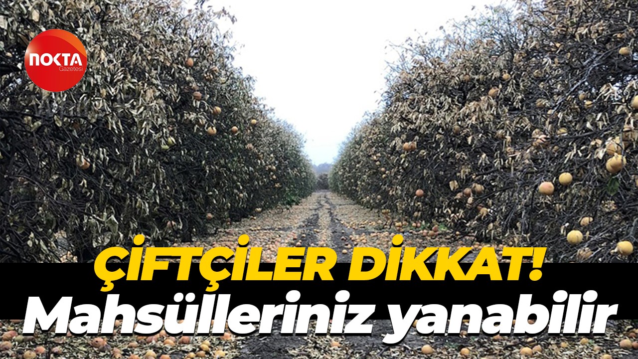 Çiftçiler dikkat! Mahsüller yanabilir