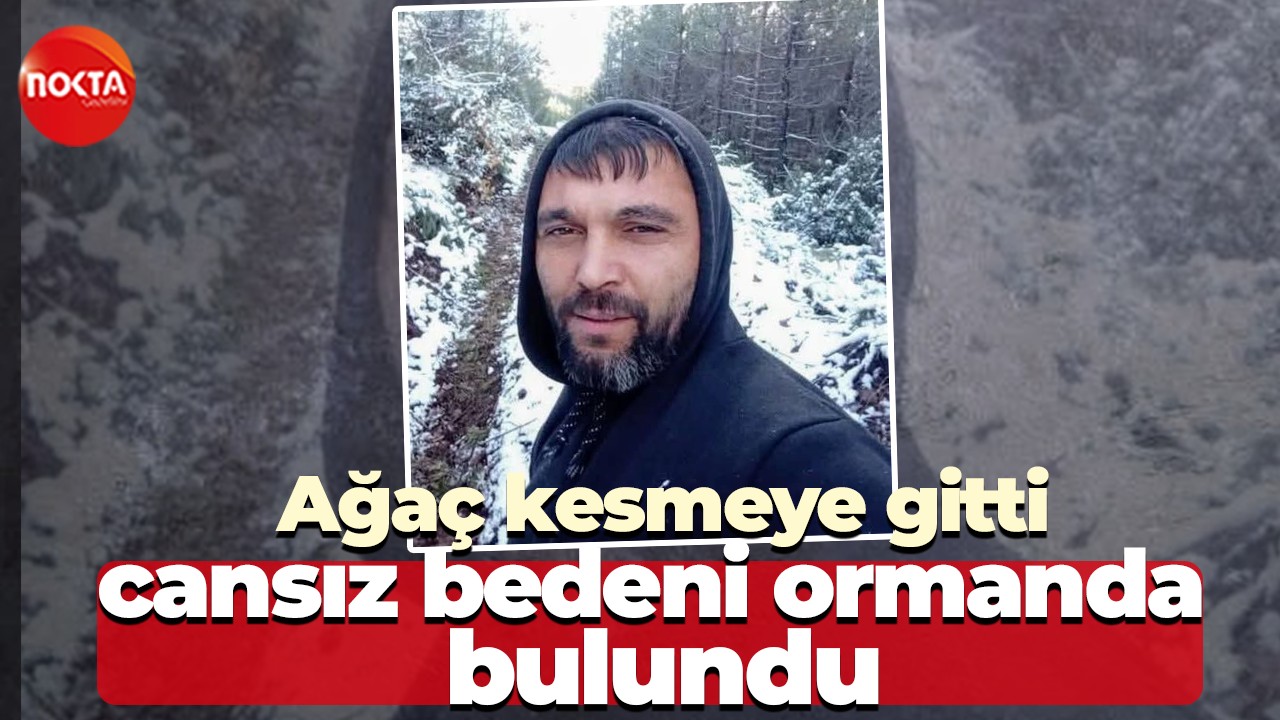 Ağaç kesmeye gitti, cansız bedeni ormanda bulundu