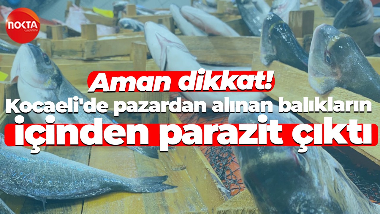 Aman dikkat! Kocaeli'de pazardan alınan balıkların içinden parazit çıktı