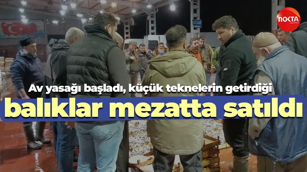 Av yasağı başladı, küçük teknelerin getirdiği balıklar mezatta satıldı