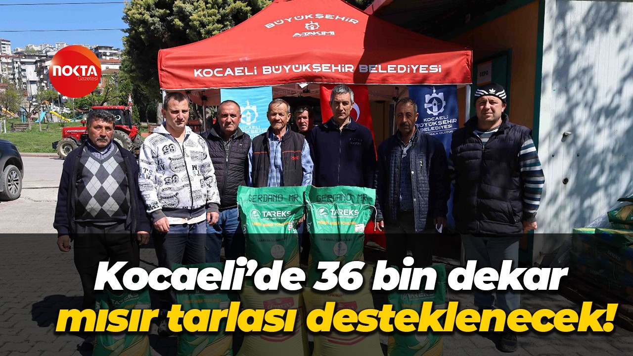 Kocaeli’de 36 bin dekar mısır tarlası desteklenecek!