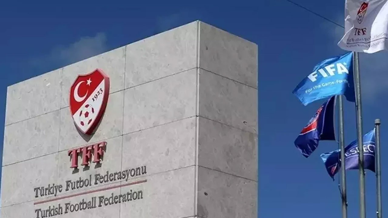 Profesyonel liglerdeki takım sayıları azaltılacak