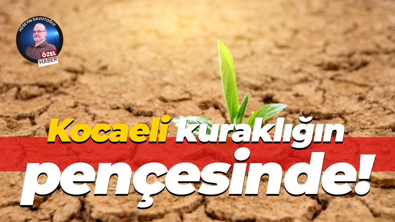 Kocaeli kuraklığın pençesinde!