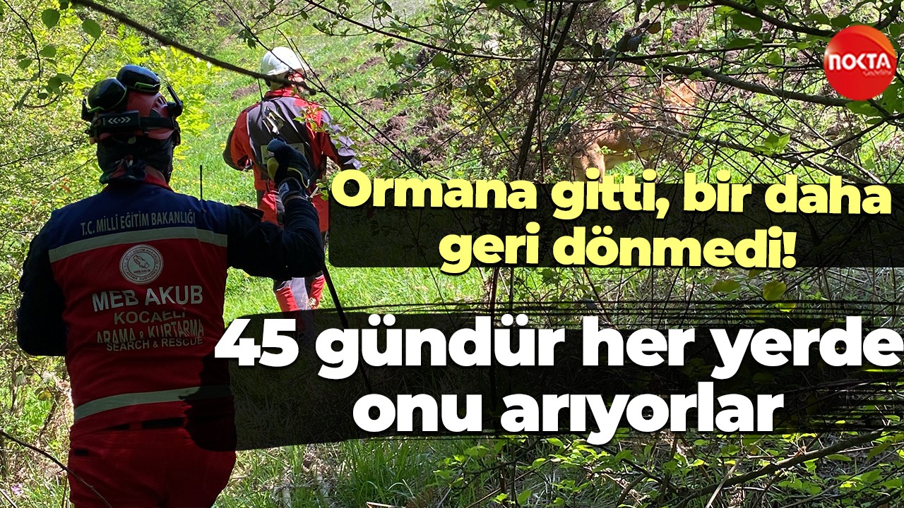 Ormana gitti, bir daha geri dönmedi: 45 gündür her yerde onu arıyorlar