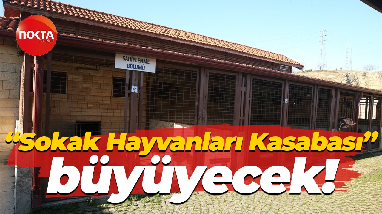 Kocaeli'de “Sokak Hayvanları Kasabası” büyüyecek!
