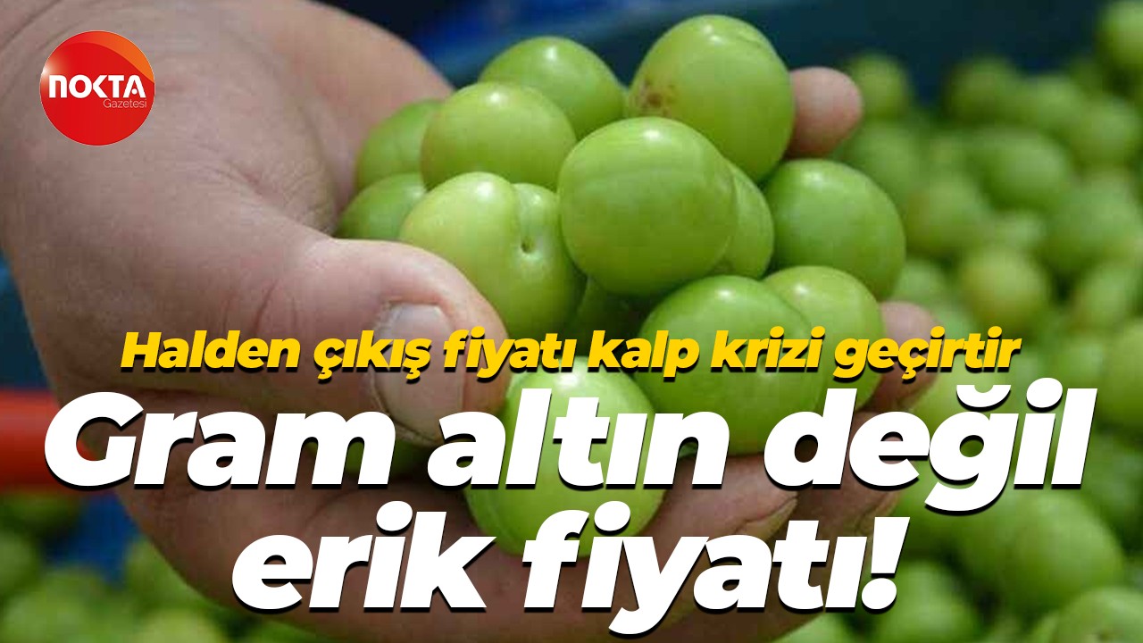 Halden çıkış fiyatı kalp krizi geçirtir… Gram altın değil erik fiyatı!
