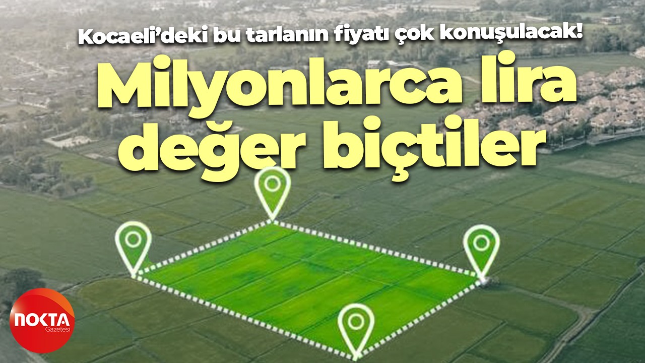 Kocaeli’deki bu tarlanın fiyatı çok konuşulacak! Milyonlarca lira değer biçtiler