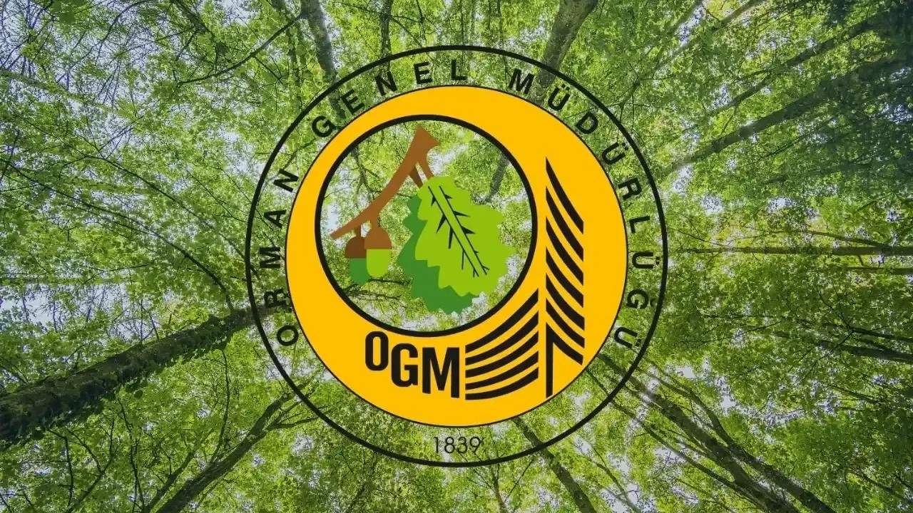 Orman Genel Müdürlüğü 105 personel alacak