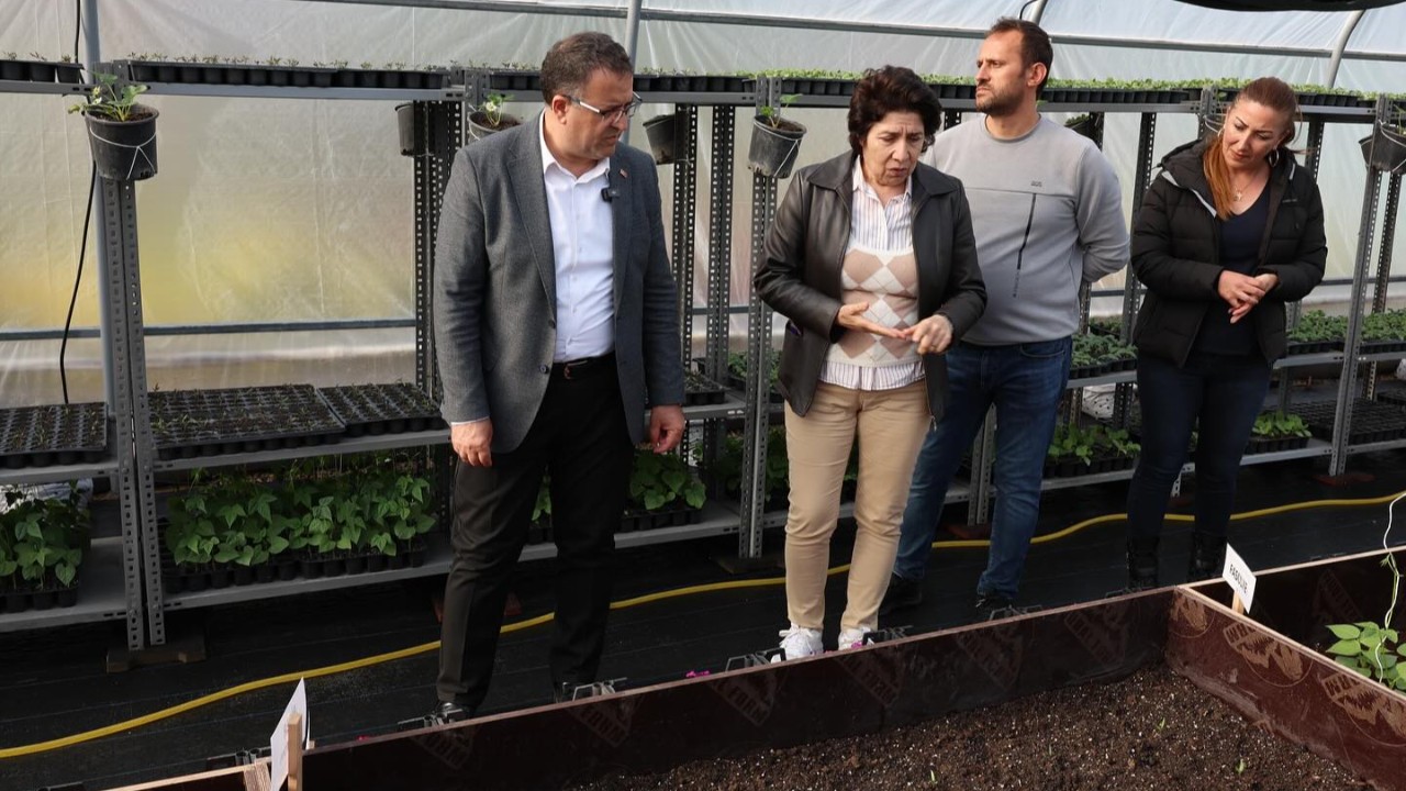 Derince Belediyesi sera kurdu! Sertif Gökçe'den ziyaret
