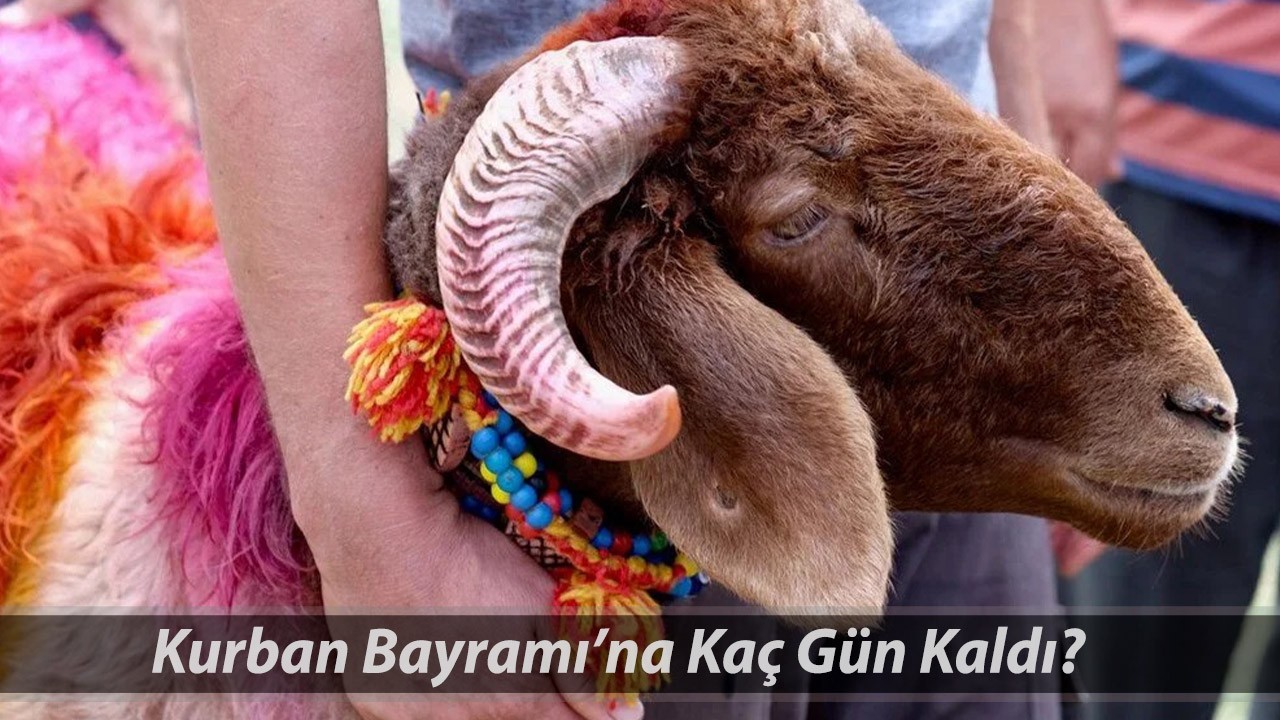Kurban Bayramı'na Kaç Gün Kaldı? 2025 Kurban Bayramı Ayın Kaçında Başlıyor?