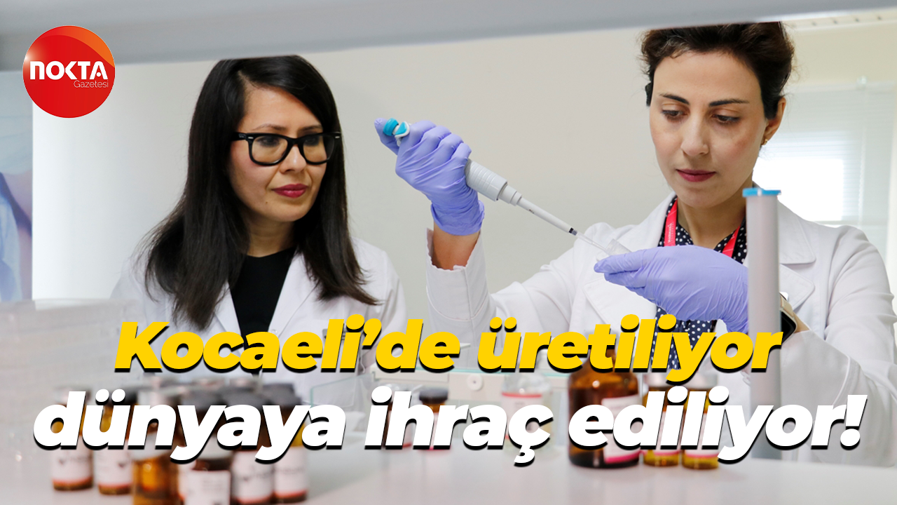 Kocaeli'de üretiliyor, dünyaya ihraç ediliyor!