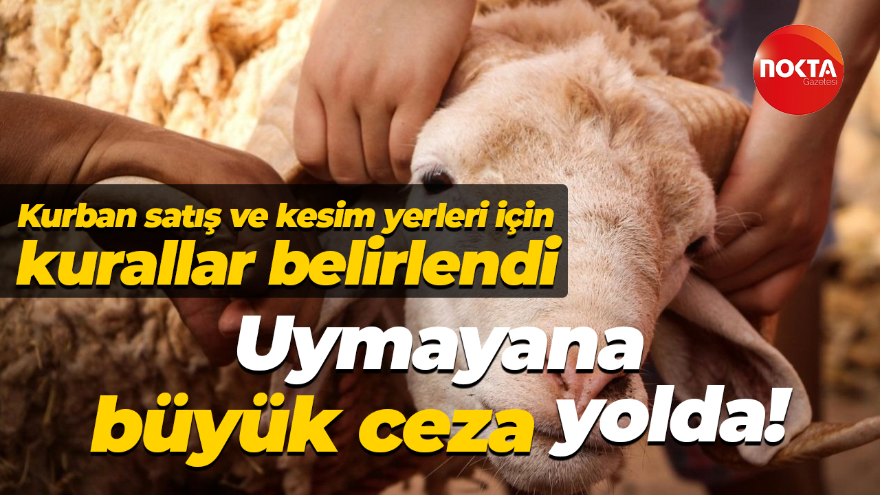 Kurban satış ve kesim yerleri için kurallar belirlendi… Uymayana büyük ceza yolda!