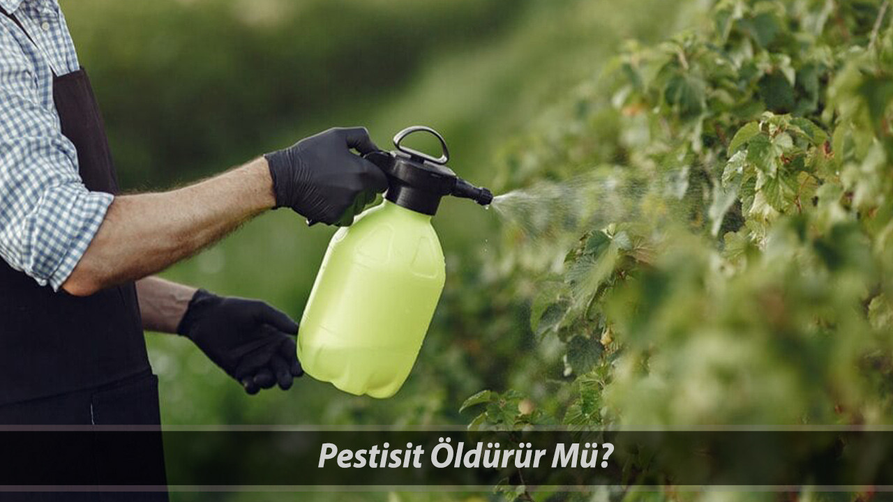 İSTANBUL'DA TESPİT EDİLDİ: Pestisit Nedir? Pestisit Öldürür Mü? Pestisit Zararları