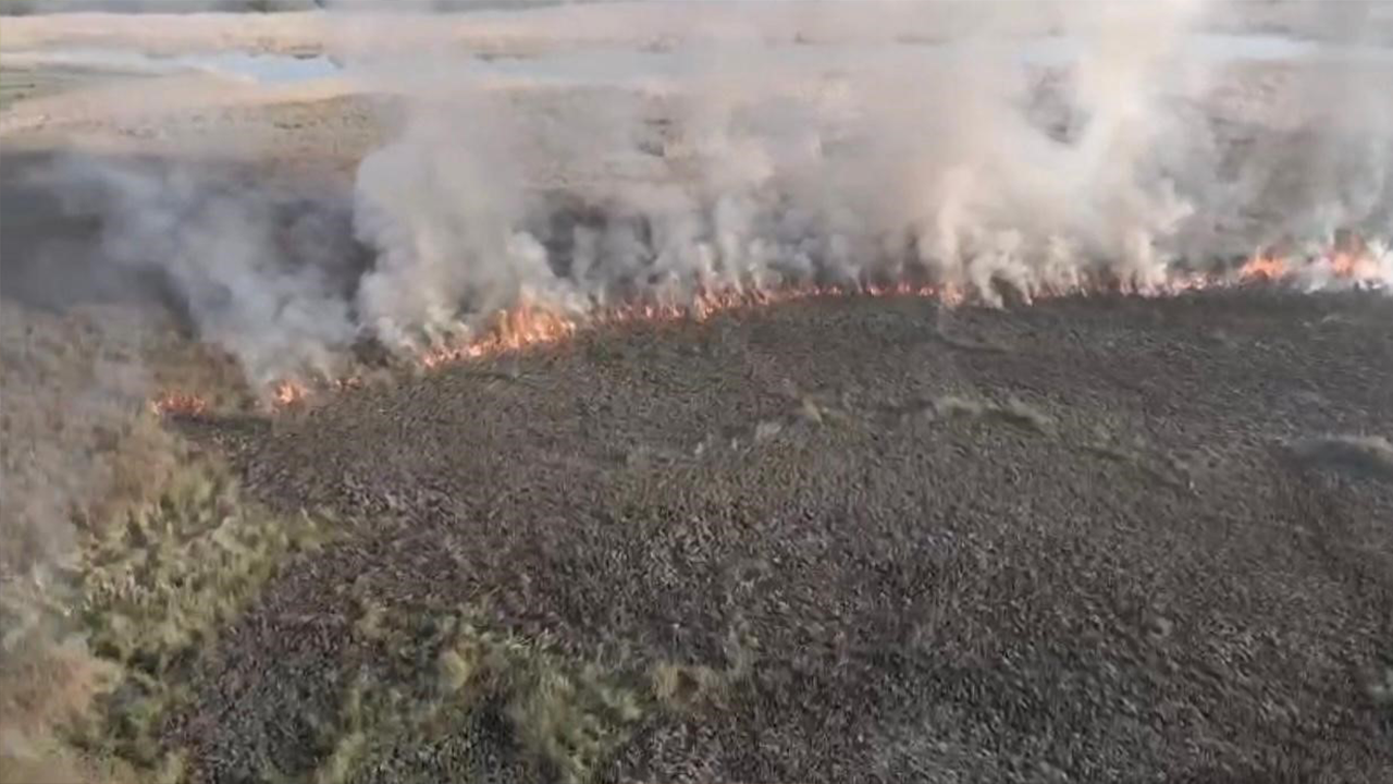 60 dönüm arazi yandı