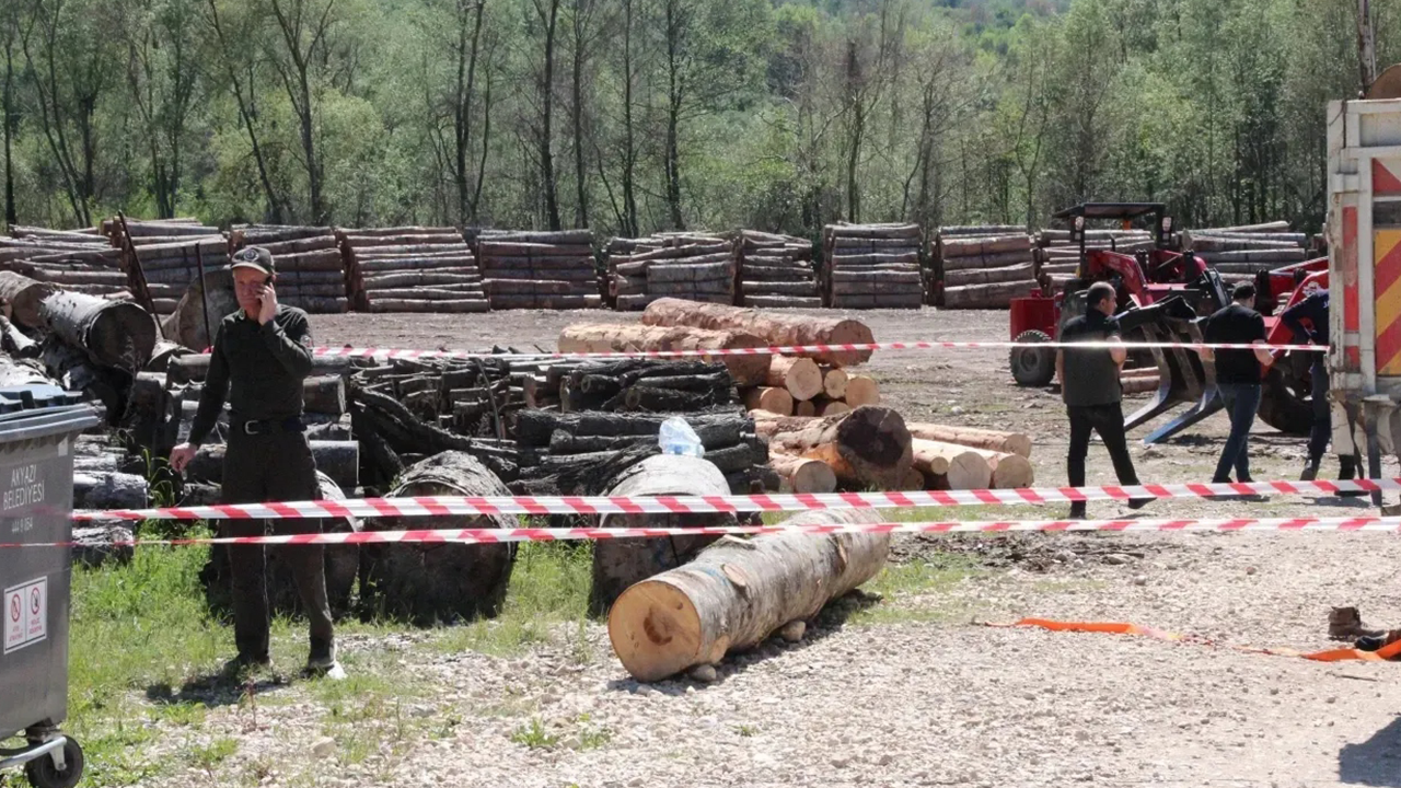 Tonlarca tomruk üzerine devrildi, hastanede hayatını kaybetti